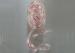PP solid printed Easter Curled Ribbon Egg with sigle face and customer logo