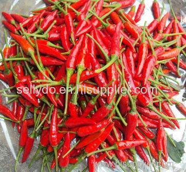 Fresh Small Chilli Origin Viet nam