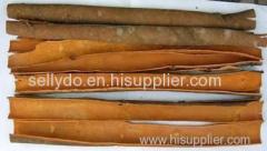 Cinnamon Origin Viet Nam