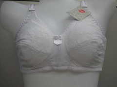 cotton push up bra