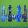 DIN Standard Spring loaded pressure safety valve