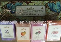 European style rendering plant care Handmade Soap