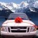 15 large size wedding Pom Pom bow in thick PP or PET materials for decoration on a car