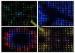 Customized Size RGB LED Vision Curtain P5 P10 P15 In Festival Celebration