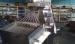 Large Pill / Capsule Plastic Sorting Machine With Conveyor Belt / 0.5 kw