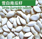 pumpkin seed green food