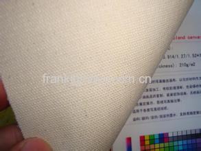 350g Art Canvas Matte Pure Cotton Waterproof