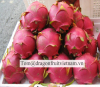 VIETNAM FRESH DRAGON FRUIT