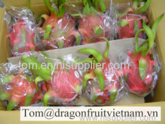 VIETNAM FRESH DRAGON FRUIT