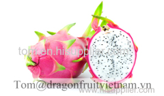 VIETNAM FRESH DRAGON FRUIT