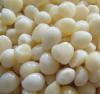 Pure White Garlic /