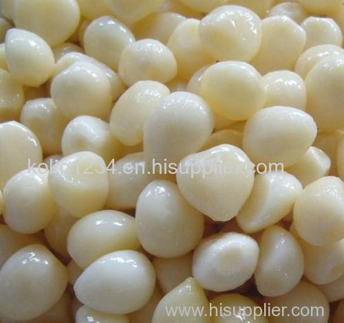 Pure White Garlic /