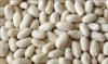 blanched peanuts 100% /