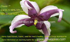 Icariin/Horny Goat Weed extract/Epimedium Extract/Yin Yang Huo Extract/Clover Nutrition