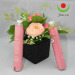 customize cosmetic packaging tubes