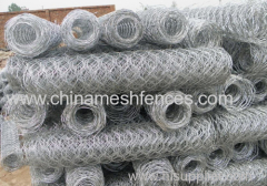 Normal twist electro-galvanized hexagonal wire mesh