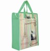 laminated non woven shopping bag with zipper