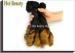 Spring Curl Funmi Grade 7A Virgin Hair Two Tone 100g 14 Inch Length