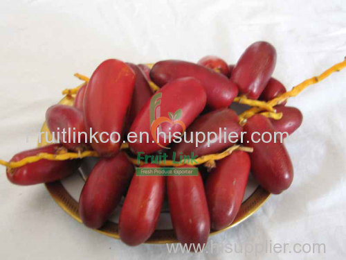 Fresh zaghlol dates from egypt by fruit link