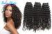 14 Inch Unprocessed Deep Curl Virgin Brazilian Hair Extensions For Black Women