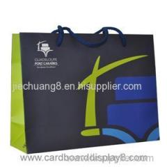 Matte Laminated paper shopping bags with Custom Printing