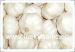 garlic fresh garlic normal white garlic pure white garlic red garlic white garlic