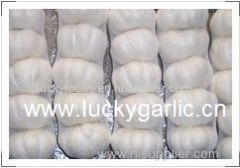 garlic fresh garlic normal white garlic pure white garlic red garlic white garlic