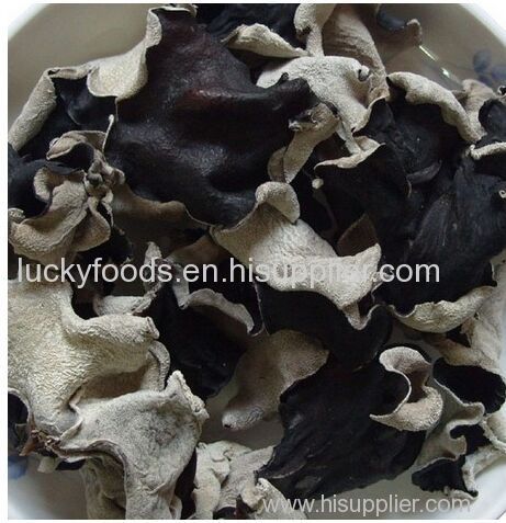 Mushroom black fungus mushroom dried black fungus mushroom