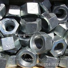 China Industrial Hexagon Nuts