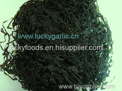 Seaweed machine dried cut kelp sun dried cut kelp sea cabbage