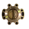 China Aluminum Bronze Check Valves