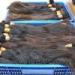 Virgin Remy Human Hair