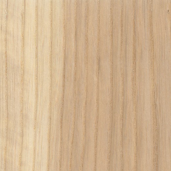 Wood Identification Guide