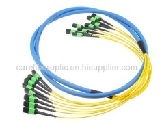 MPO / MTP Trunk Cable Assemblies