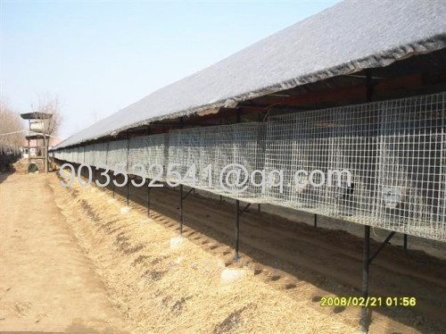 galvanized mink wire mesh breeding cage low price mink cage for sale