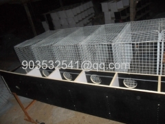 galvanized mink wire mesh breeding cage low price mink cage for sale