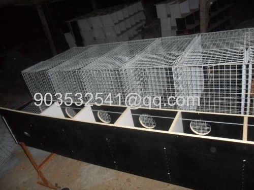 New arrival stainless steel welded mesh mink cage/hot dipped galvanized mink cage/mink wire mesh cage(Anping Manufcturer