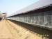 stainless steel welded mesh mink cage