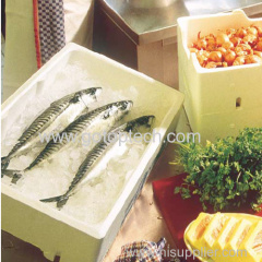 china polyfoam/ eps fish box plastic mould manufacturer for sale Factory Price EPS ice box mould