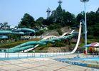 Water Attractions Pumping Dragon Fiberglass Water Slides Water Park Games