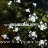 Cool White Blossom Battery Operated String Lights Multi-color IP44 with Static Flickering