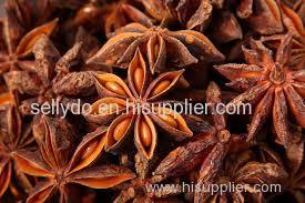 Star Anise Origin Viet nam