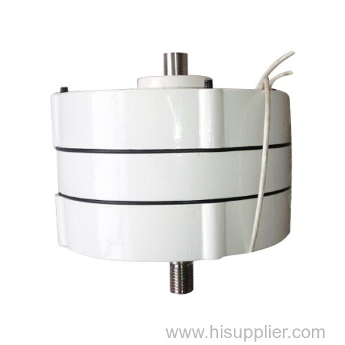 300W 12V 24V 3 Phase AC Permanent Magnet Alternator