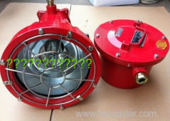 Explosion proof project light