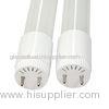 50 / 60Hz High Brightness 80 Ra T8 Led Tube Light 100v - 240v