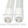 50 / 60Hz High Brightness 80 Ra T8 Led Tube Light 100v - 240v