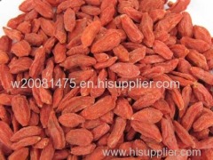 China goji berry china wolfberry china red goji berry