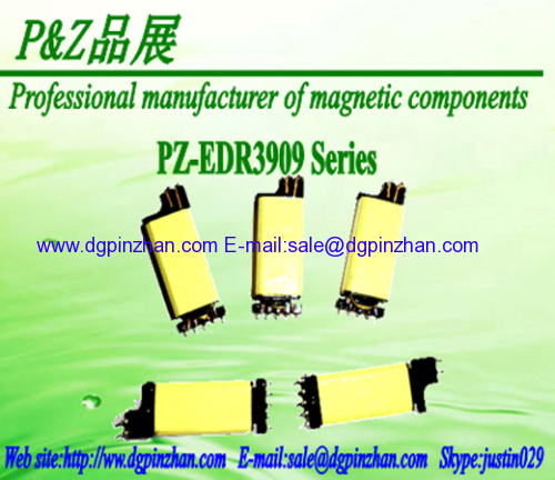 EDR3909 Series Lighting transformer