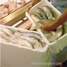 Water/Heat resistant EPS foam fish box mold with shock-absorbing characteristics made in China