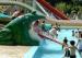 Funny Cantoon Flog Slide Kids Water Slides for Amusement Park Equipment